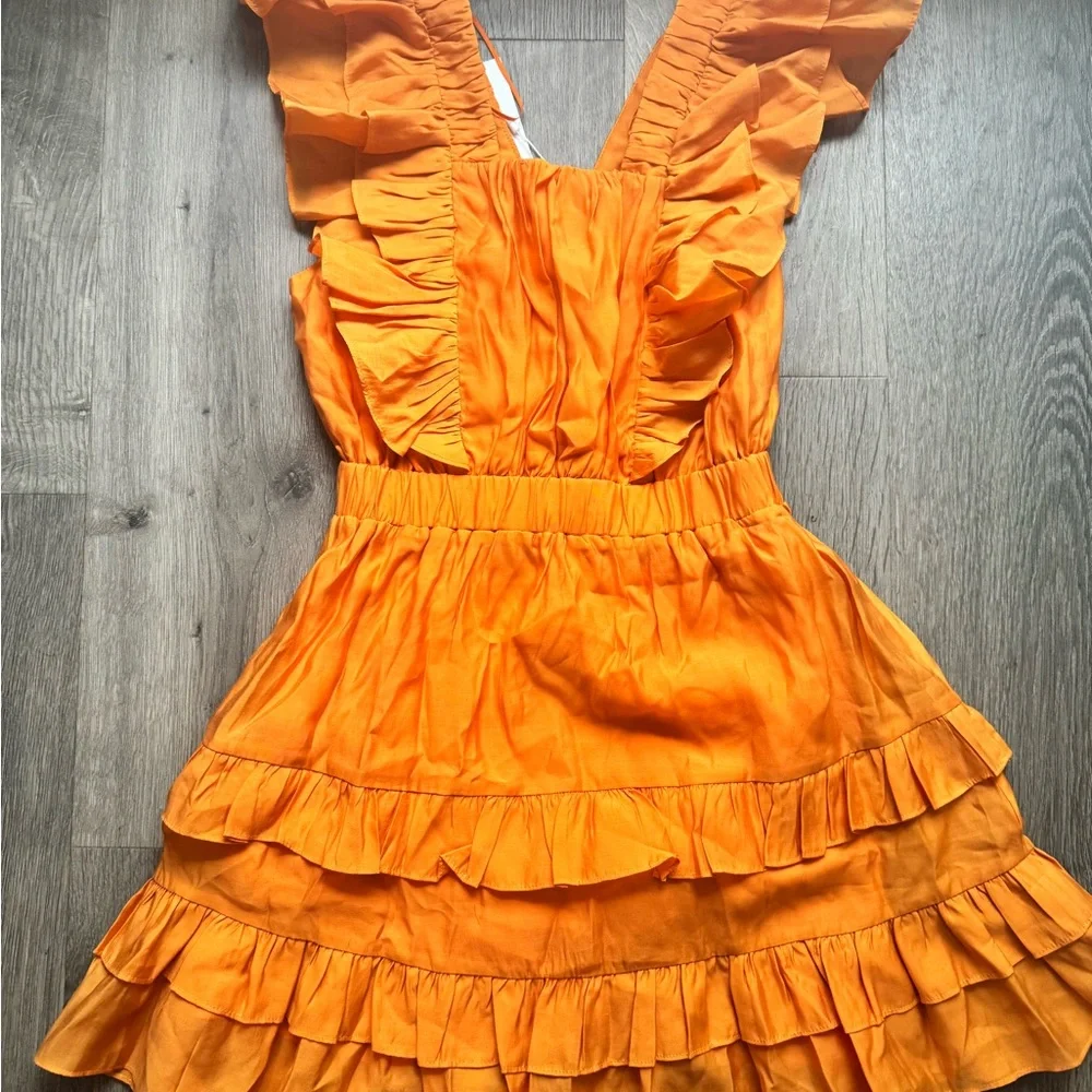 Endless Rose Ruffle Detail Mini Dress - Picture 4 of 6